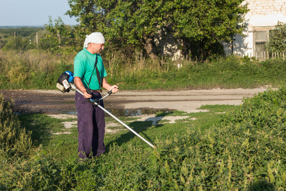 Keep Weeds Out of Your Yard With These Simple Tips