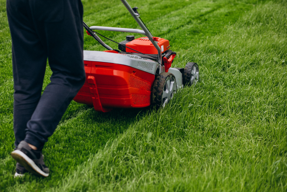 How to Care for a Sod Lawn: Your Complete Guide