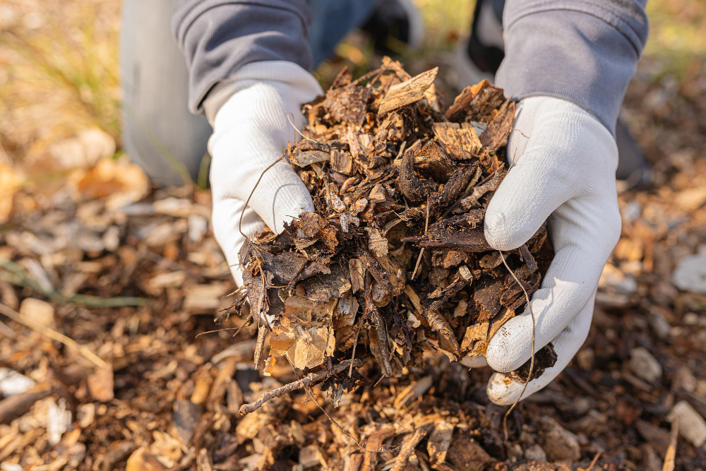 The Benefits of Mulching for Your Commercial Landscaping