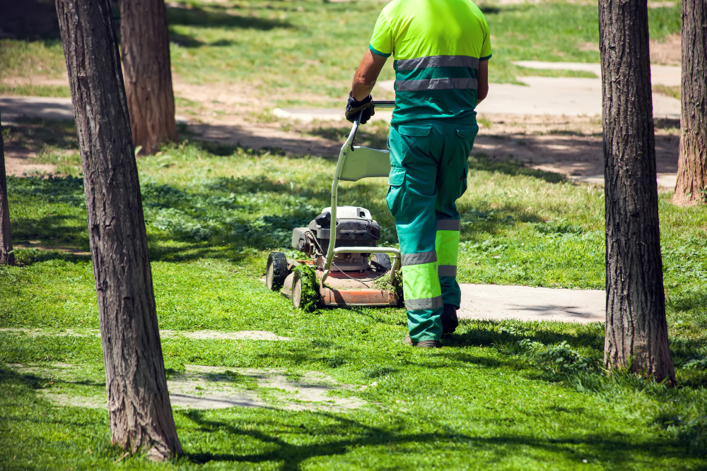 Why Hiring a Landscape Company is a Good Idea