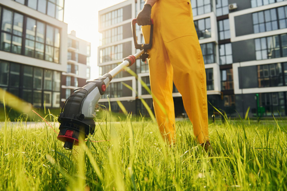 Beyond Curb Appeal: Benefits of Lawn Maintenance