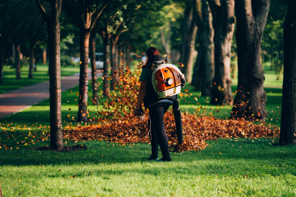Simple Lawn Care Tips for a Greener Business