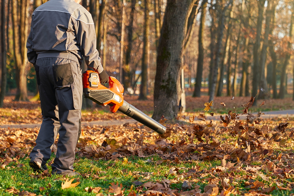A Comprehensive Guide to Exploring Different Lawn Care Services