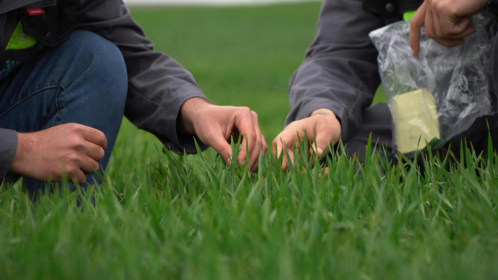 Commercial Sod Maintenance Tips for Lake Mary Property Managers