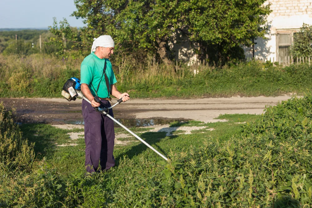 Keep Weeds Out of Your Yard With These Simple Tips