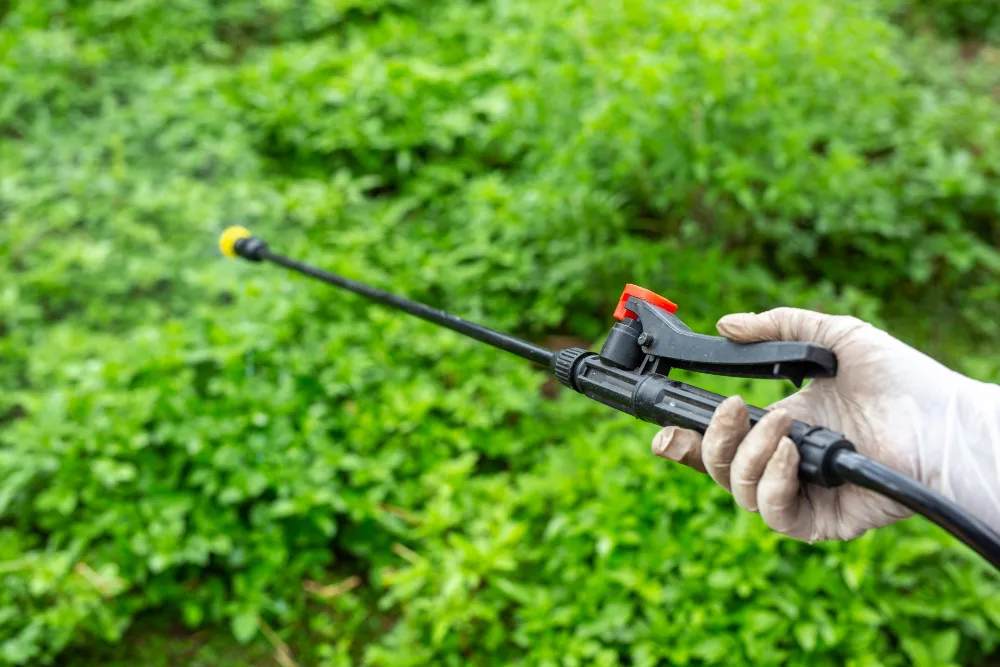 How to Keep Pests Out of Your Garden