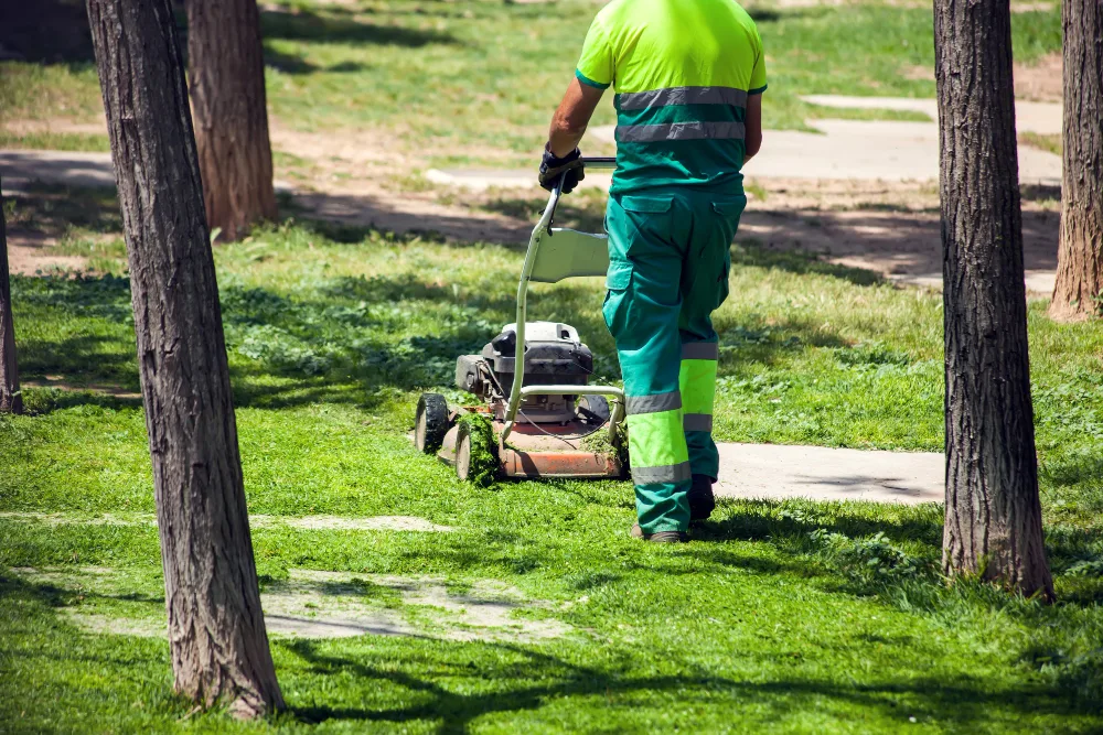 Why Hiring a Landscape Company is a Good Idea