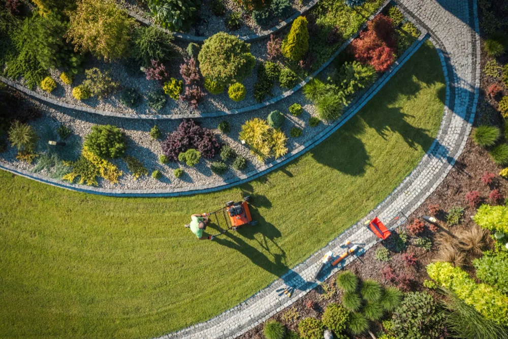 Why Professional Commercial Landscaping Beats D.I.Y. Lawn Care