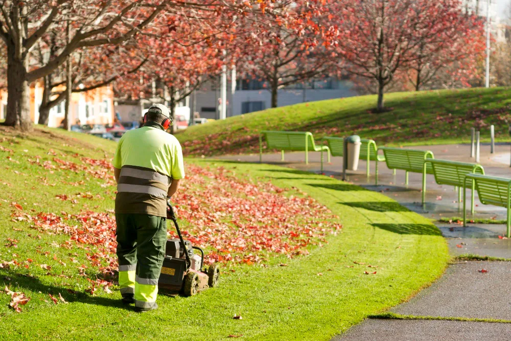 Weather-Proof Your Business: Commercial Landscaping Protection Tips