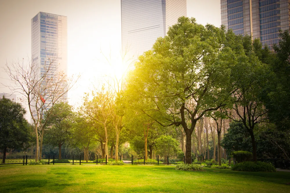 Why Businesses Should Invest in Commercial Landscaping in Sanford, FL