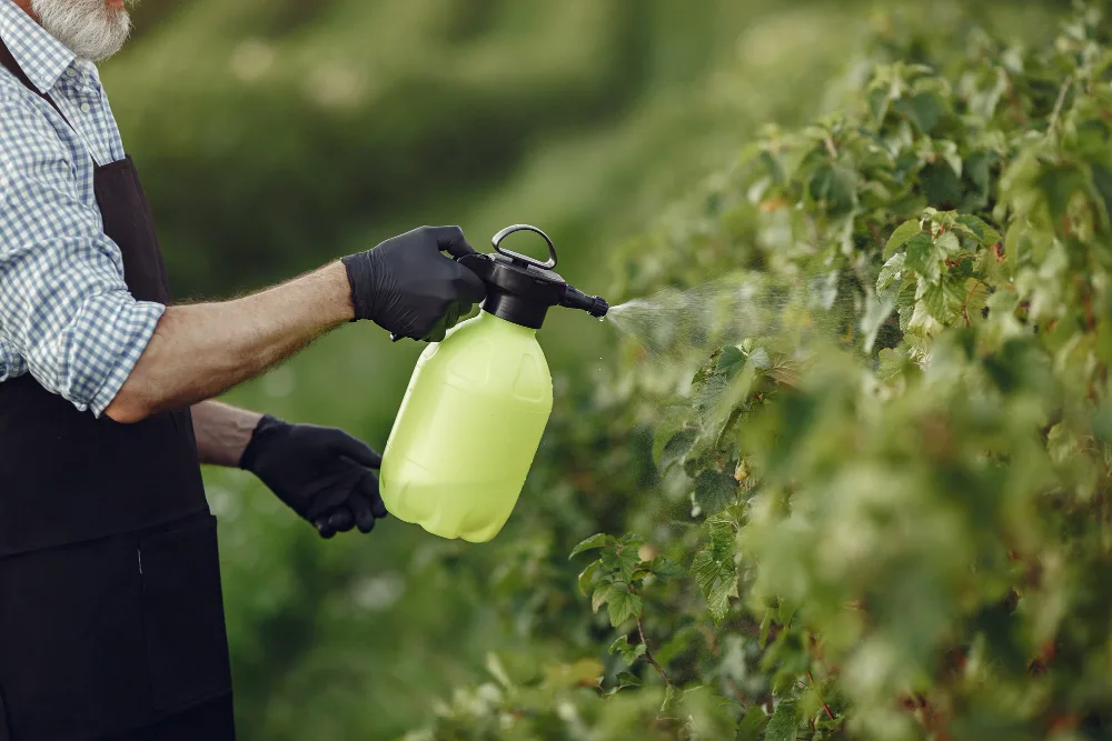 How to Keep Insects Away from Your Plants and Trees