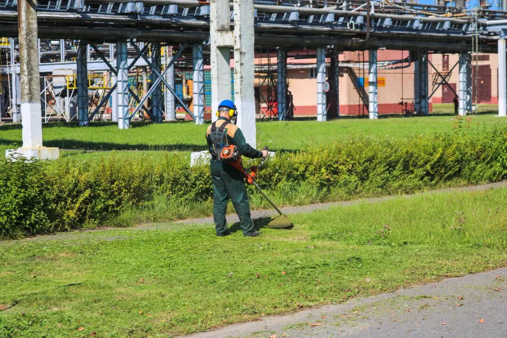 How Professional Commercial Landscaping Protects Your Property Year-Round