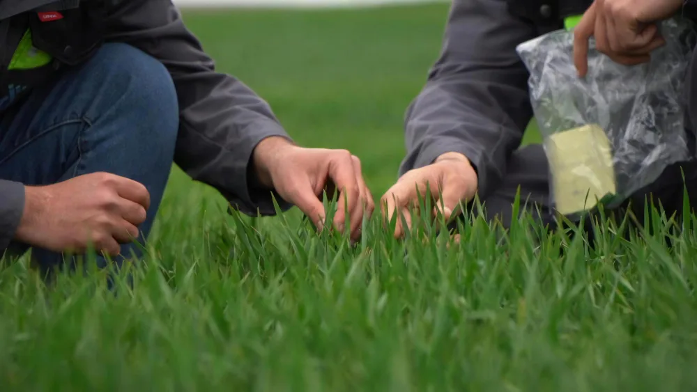 Commercial Sod Maintenance Tips for Lake Mary Property Managers
