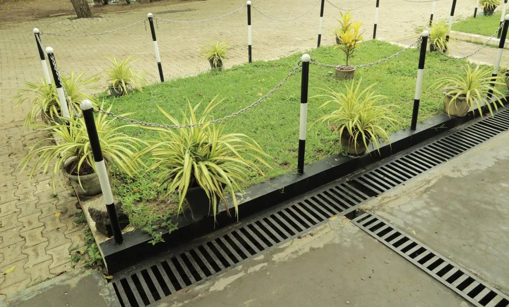 Common Landscape Drainage System Problems and How to Resolve Them